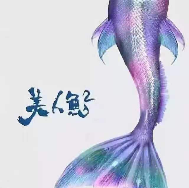  纽伦堡主场遭遇争议判罚，无奈接受平局结果